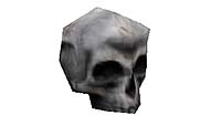 bleachbones.jpg