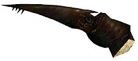 bm_leg.jpg