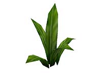 uplant1.jpg
