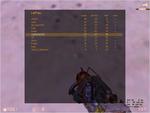 thw_lan_2_10